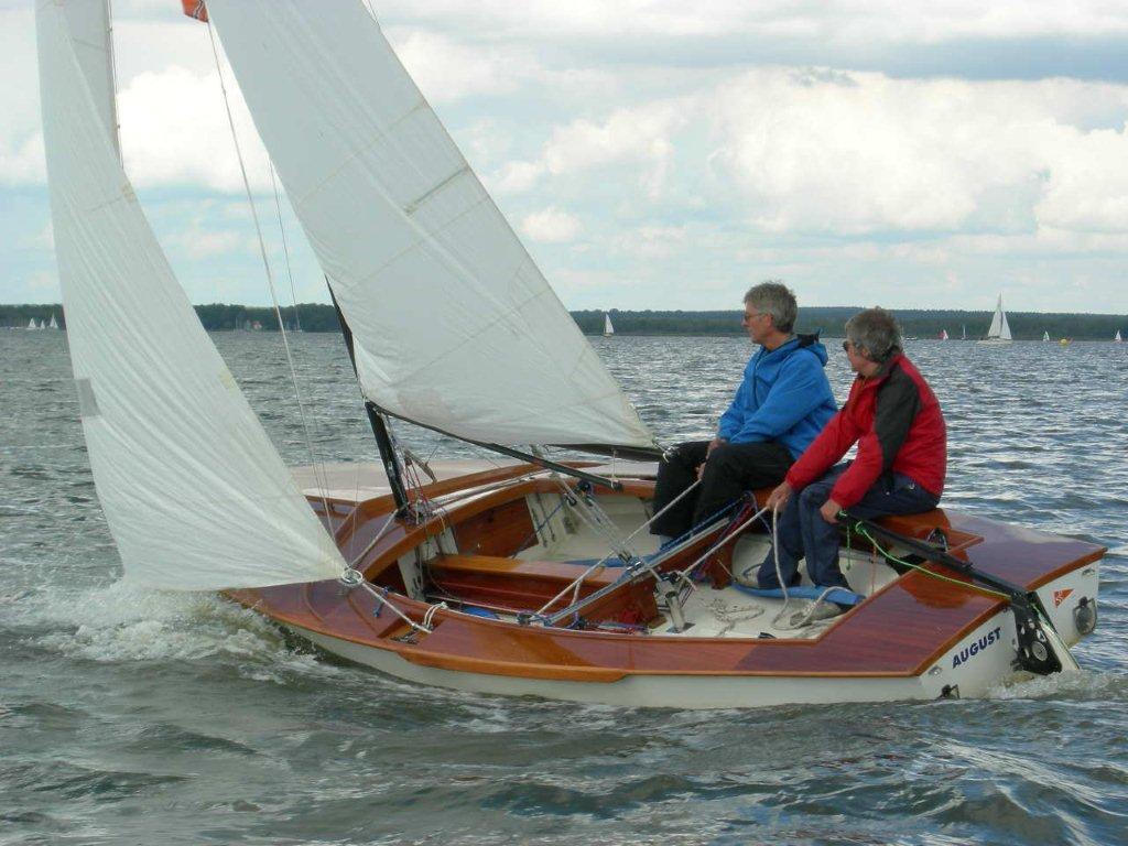 Unser Schwertzugvogel "August" auf dem Steinhuder Meer